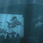Pluto TV emitirá Empire of the Sharks en Pluto TV Scifi
