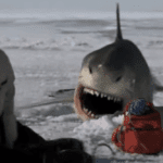Pluto TV emitirá Tiburones del hielo en Pluto TV Scifi