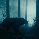 banner-garras