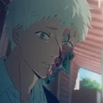 hikaru.dead
