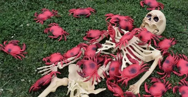 cocaine-crabs-from-outer-space (1)