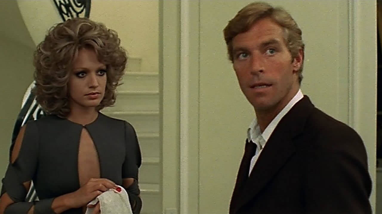 elgatodelasnuevecolas (1)