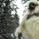 labestiadelasnieves (1)