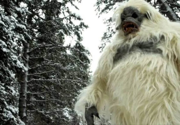 labestiadelasnieves (1)