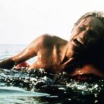 pelicula-verano-noche-terror (1) (1)