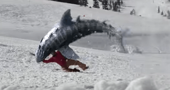 avalanche-sharks-2 (1)