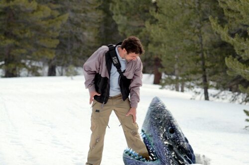 avalanche-sharks-3 (1)