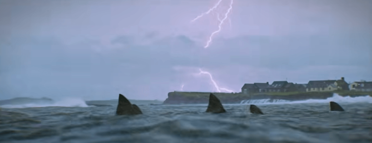 shark-trash (1)