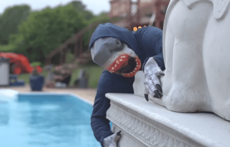 wereshark-header (1)