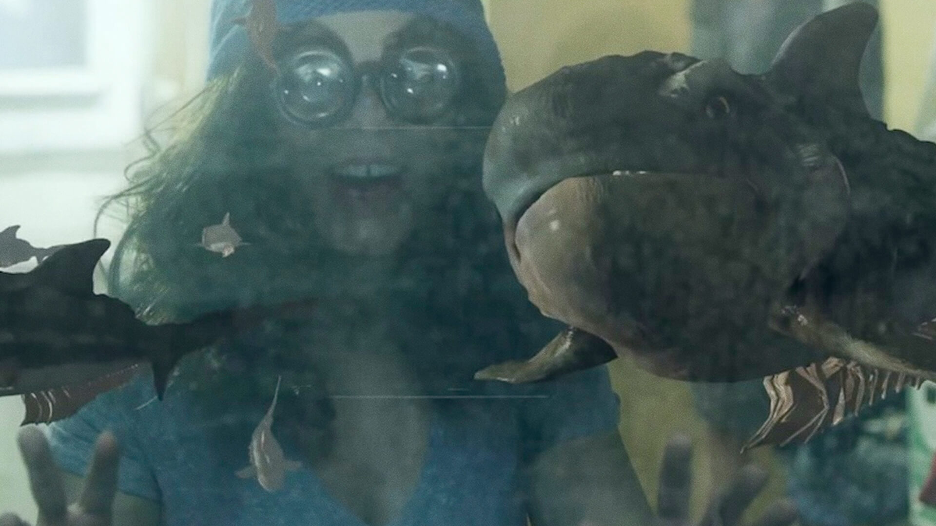 piranha-shark-header (1)