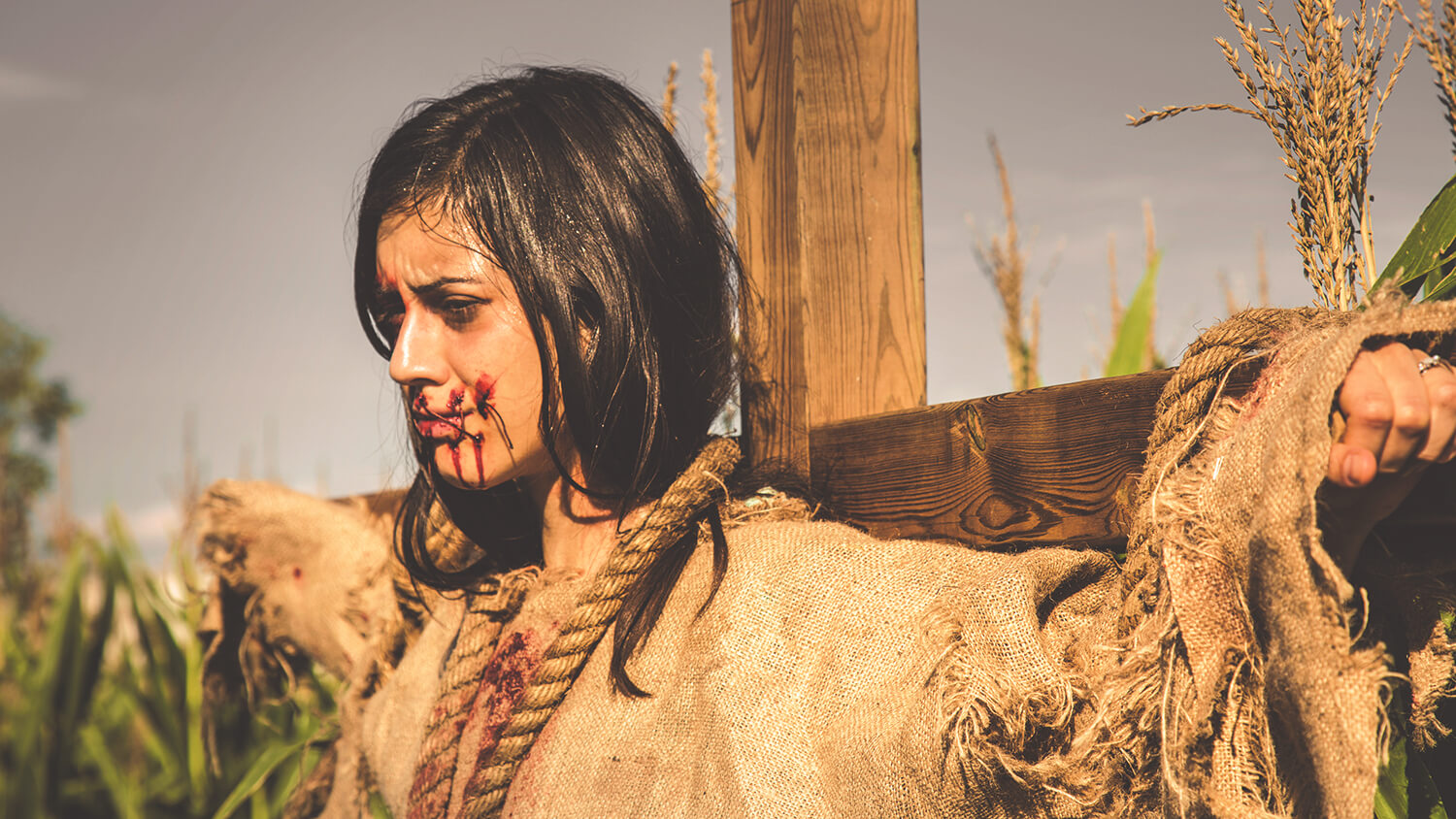 scarecrows-header (1)