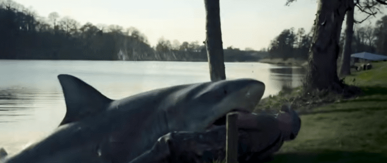 shark-lake-header (1)