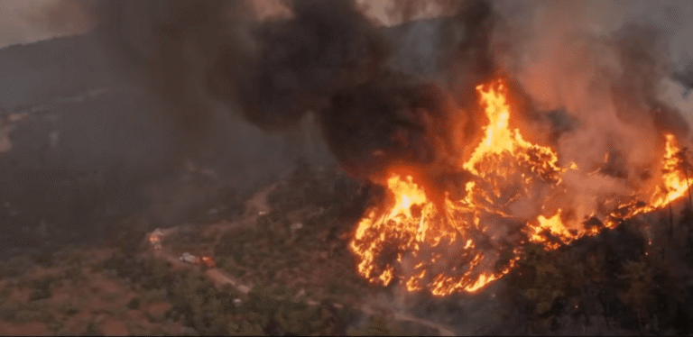 america-is-burning-header (1)